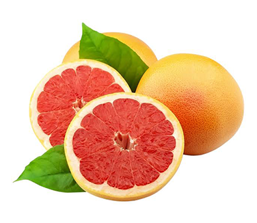 Premium quality fruits and vegetables for international export markets