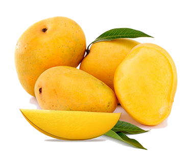 Fresh produce processing and packaging - Agro Valley quality standards